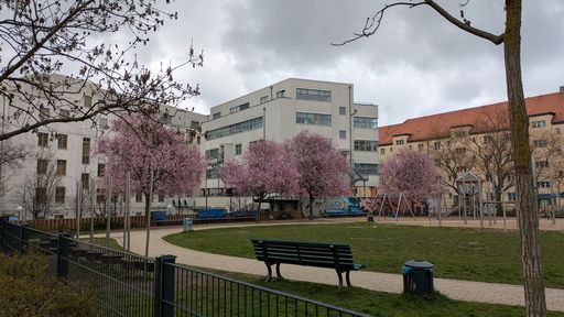 Оригинальная фотография