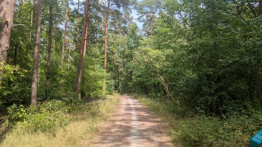 Оригинальная фотография