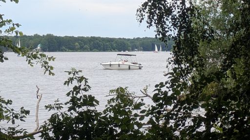 Оригинальная фотография