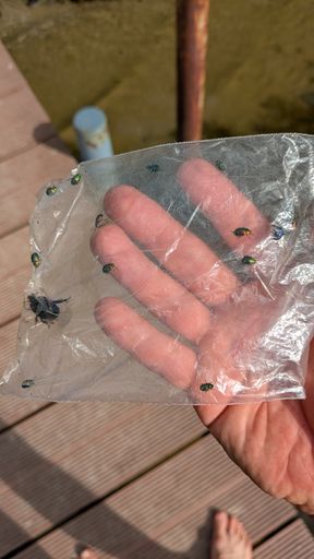 Оригинальная фотография