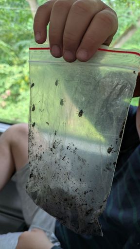 Оригинальная фотография