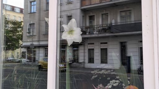 Оригинальная фотография