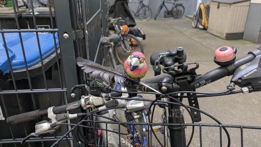 Оригинальная фотография