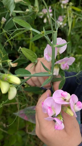 Оригинальная фотография