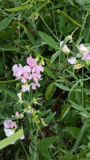 Оригинальная фотография