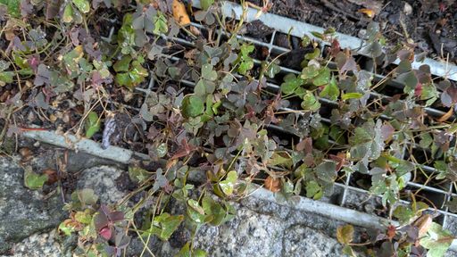 Оригинальная фотография