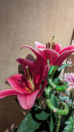 Оригинальная фотография