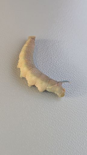 Оригинальная фотография