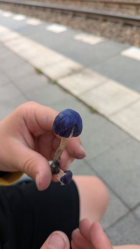 Оригинальная фотография