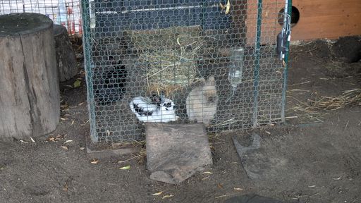 Оригинальная фотография