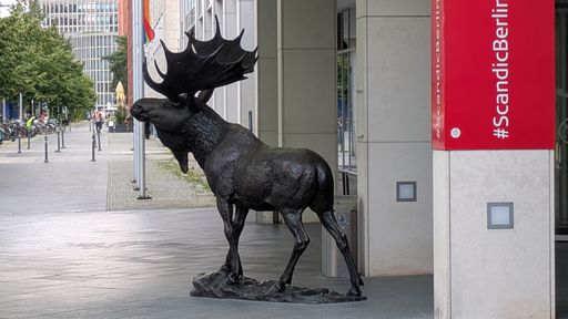 Оригинальная фотография