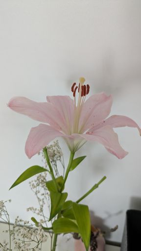 Оригинальная фотография