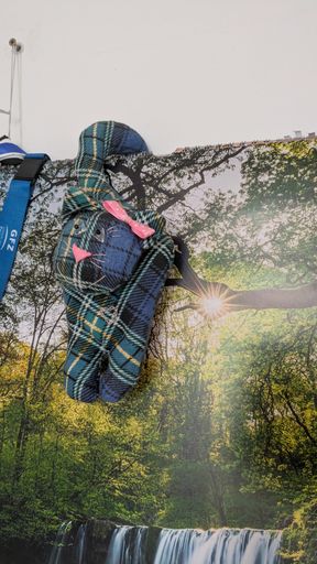 Оригинальная фотография