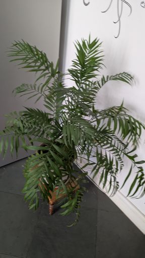 Оригинальная фотография