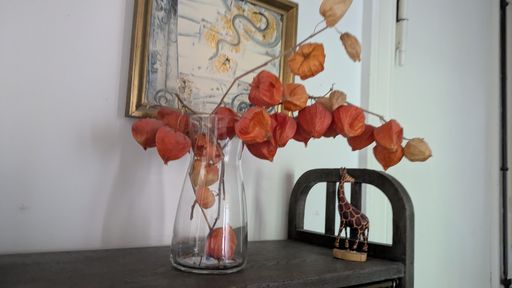 Оригинальная фотография