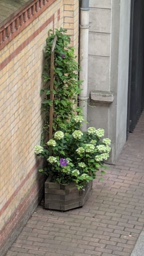 Оригинальная фотография