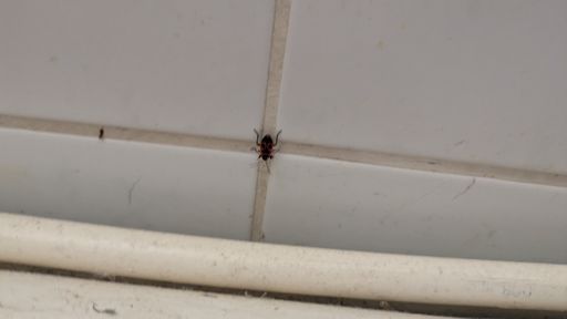 Оригинальная фотография