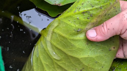 Оригинальная фотография