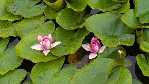 Оригинальная фотография