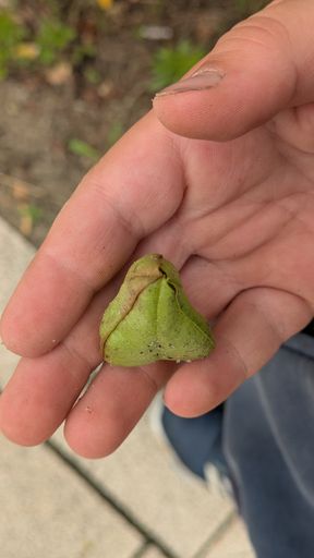 Оригинальная фотография