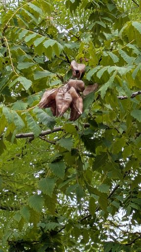 Оригинальная фотография