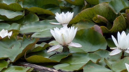 Оригинальная фотография