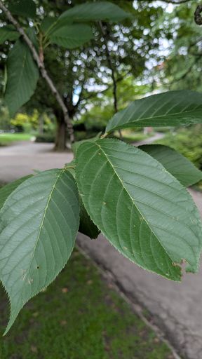 Оригинальная фотография