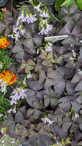 Оригинальная фотография