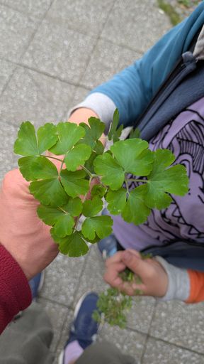 Оригинальная фотография