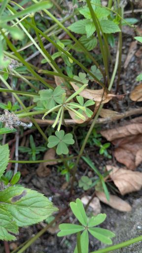 Оригинальная фотография