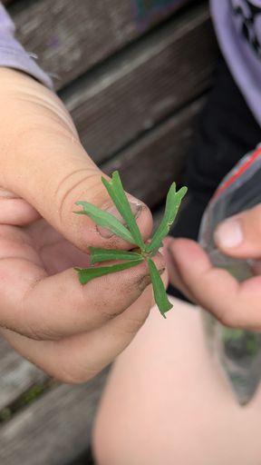 Оригинальная фотография