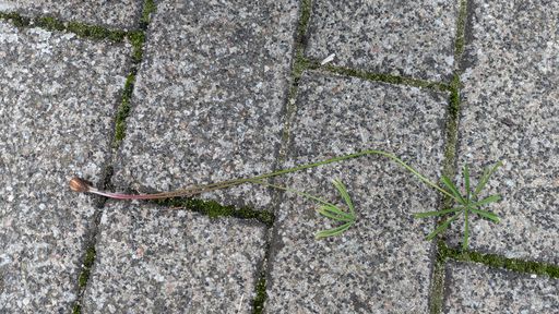 Оригинальная фотография