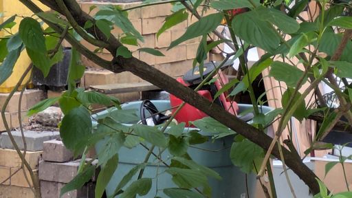 Оригинальная фотография