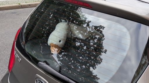 Оригинальная фотография