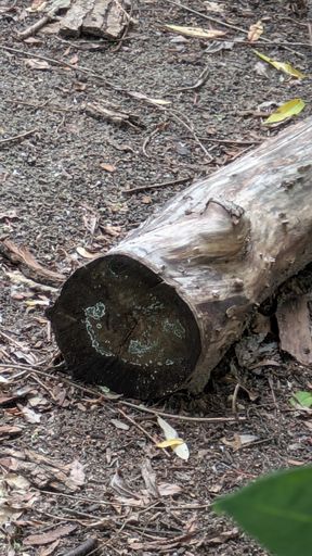 Оригинальная фотография