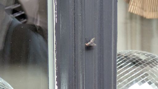 Оригинальная фотография