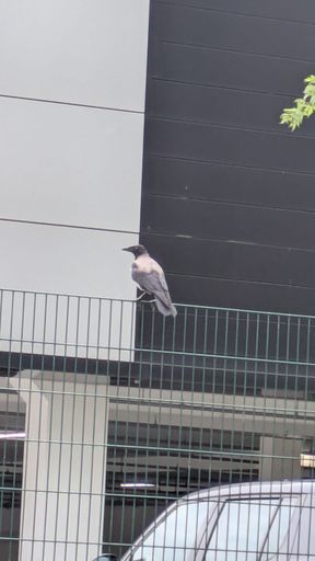 Оригинальная фотография