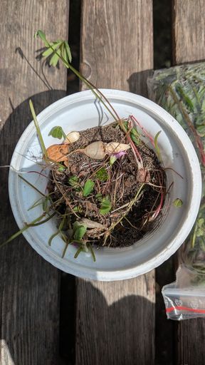 Оригинальная фотография