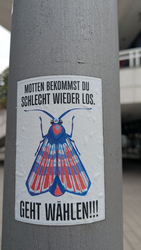 Оригинальная фотография