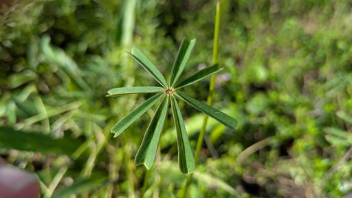 Оригинальная фотография
