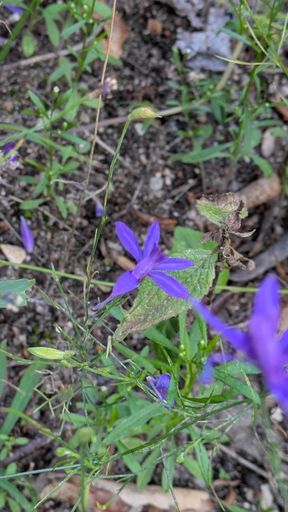 Оригинальная фотография