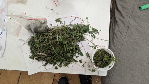 Оригинальная фотография