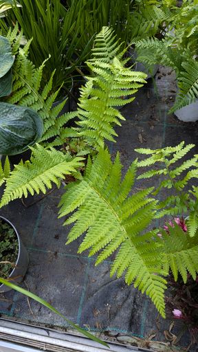 Оригинальная фотография