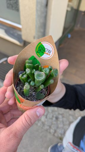 Оригинальная фотография