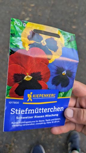 Оригинальная фотография