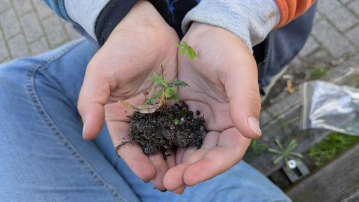Оригинальная фотография