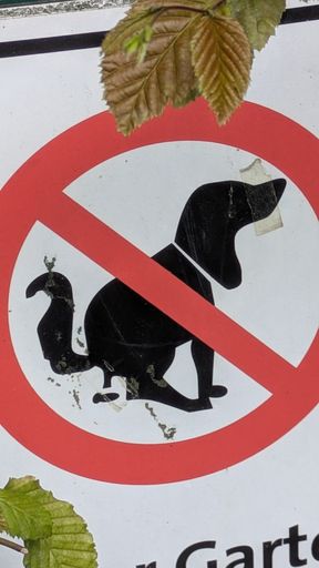 Оригинальная фотография