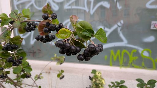 Оригинальная фотография