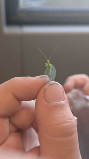 Оригинальная фотография