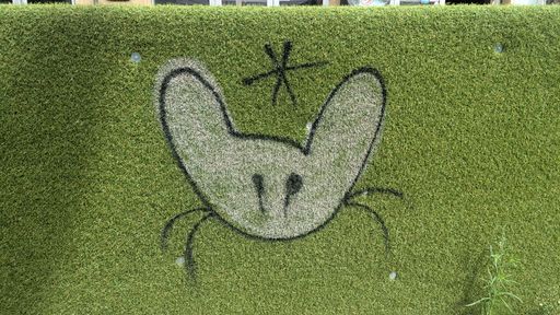 Оригинальная фотография